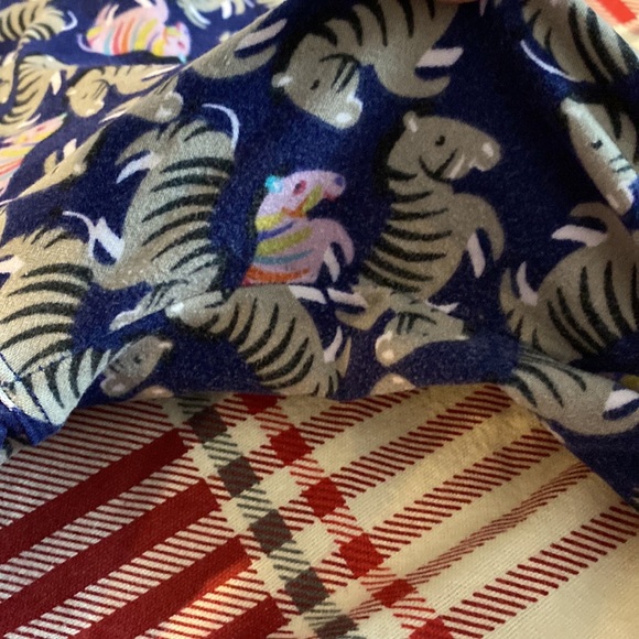 Lularoe rainbow zebra legging - Picture 3 of 4